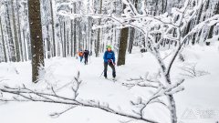 IMG_20191229_101950
