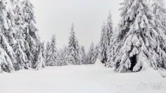 IMG_20191229_112057