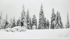 IMG_20191229_112101