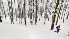 IMG_20191229_144746