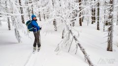IMG_20191229_145946