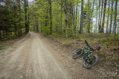 Na szlaku w okolicy Trzonki