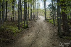 Początek podjazdu z Przełęczy Bukowskiej na Porębski Groń