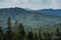 Panorama na południe z Porębskiego Gronia