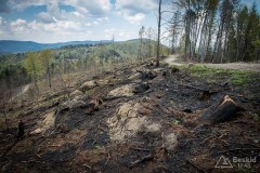 Na grzbiecie Porębskiego Gronia