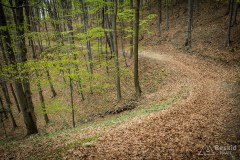 Zielony szlak z  Przełęczy Targanickiej na Przełęcz Kocierską