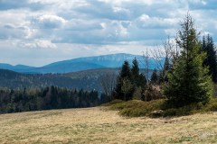 Widok z Potrójnej na południe (Babia Góra)