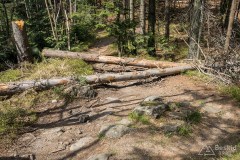 Czerwony szlak w okolicy Łamanej Skały