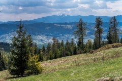 Polana na Gibasach - widok na południe (Pilsko)