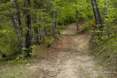Szlak za Przełęczą Płonna