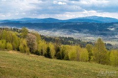 Widok znad Przełęczy Płonna