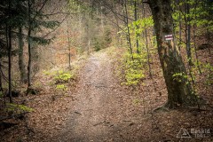 Czerwony szlak pod Wielką Cisową Grapą