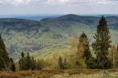 Widok z Kiczery na północ