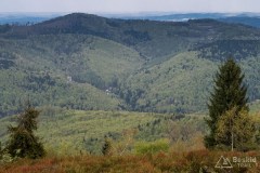 Widok z Kiczery na północ