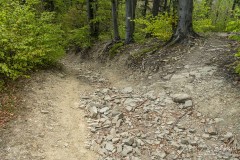 Żółty szlak z Kiczery do Czańca