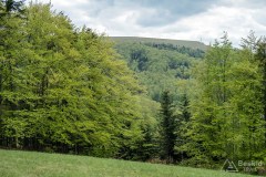 Żółty szlak z Kiczery do Czańca - Żar