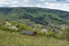 Dolina Kozubnika pod Żarem