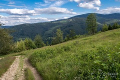 Górny odcinek czarnego szlaku z  Kotarnicy do Sopotni Wielkiej
