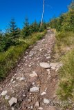 Czarny szlak z Kamesznicy na Baranią Górę