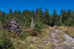 Czarny szlak z Kamesznicy na Baranią Górę