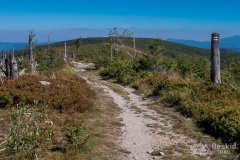 Czerwony szlak z Magurki Wiślańskiej na Magurkę Radziechowską