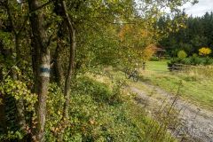 IMG_3917
