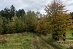 IMG_3918