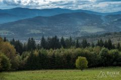 IMG_3922