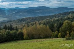 IMG_3923