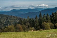 IMG_3931