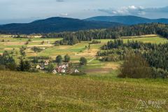 IMG_3933