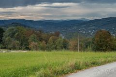 IMG_3944