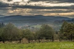 IMG_3953