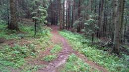 IMG_20160815_110103_HDR