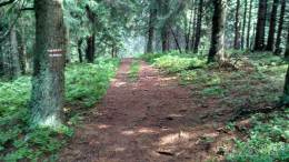 IMG_20160815_112423_HDR