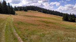 IMG_20160815_141317_HDR