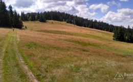 IMG_20160815_141317_HDR