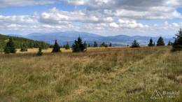 IMG_20160815_150914_HDR