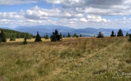IMG_20160815_150914_HDR