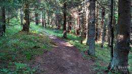 IMG_20160815_154838_HDR