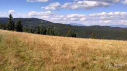 IMG_20160815_160245_HDR