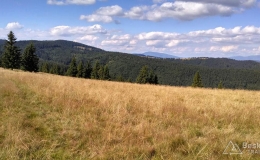 IMG_20160815_160245_HDR