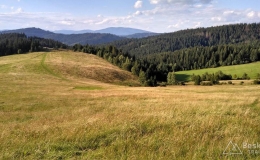 IMG_20160815_175232_HDR