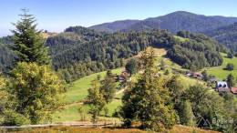 IMG_20160827_111534_HDR