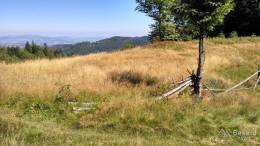 IMG_20160827_112551_HDR