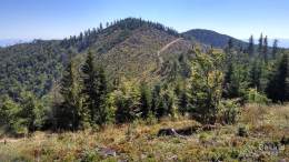 IMG_20160827_130907_HDR