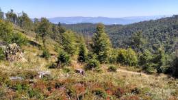 IMG_20160827_130917_HDR