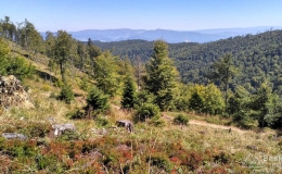 IMG_20160827_130917_HDR