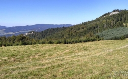 IMG_20160827_142917_HDR
