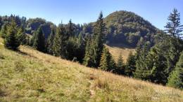 IMG_20160827_144259_HDR